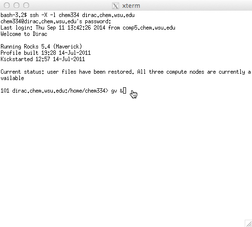 The XQuartz terminal window. Launch remote applications.