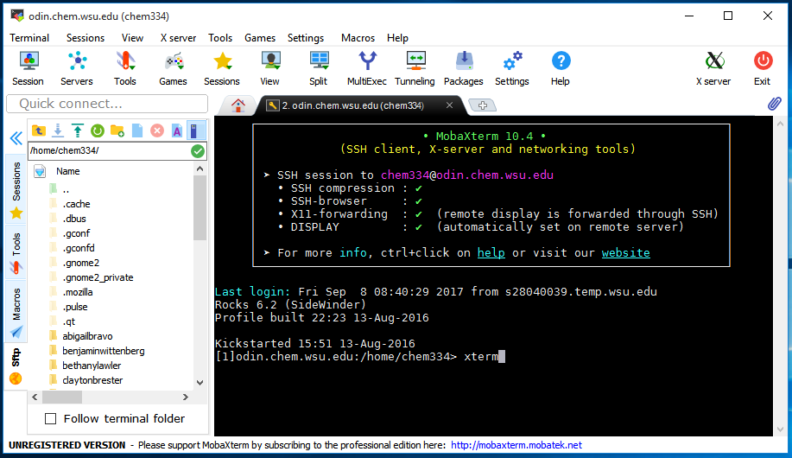 Screenshot of MobaXterm application. The term "xterm" has been entered on the command prompt. (Image links to larger version.)