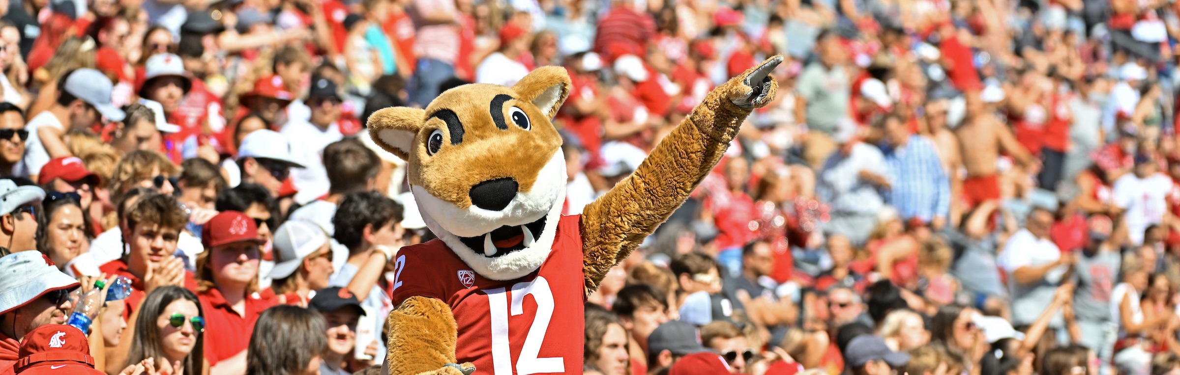 Butch Cougar with crowd of Coug fans at a football game.