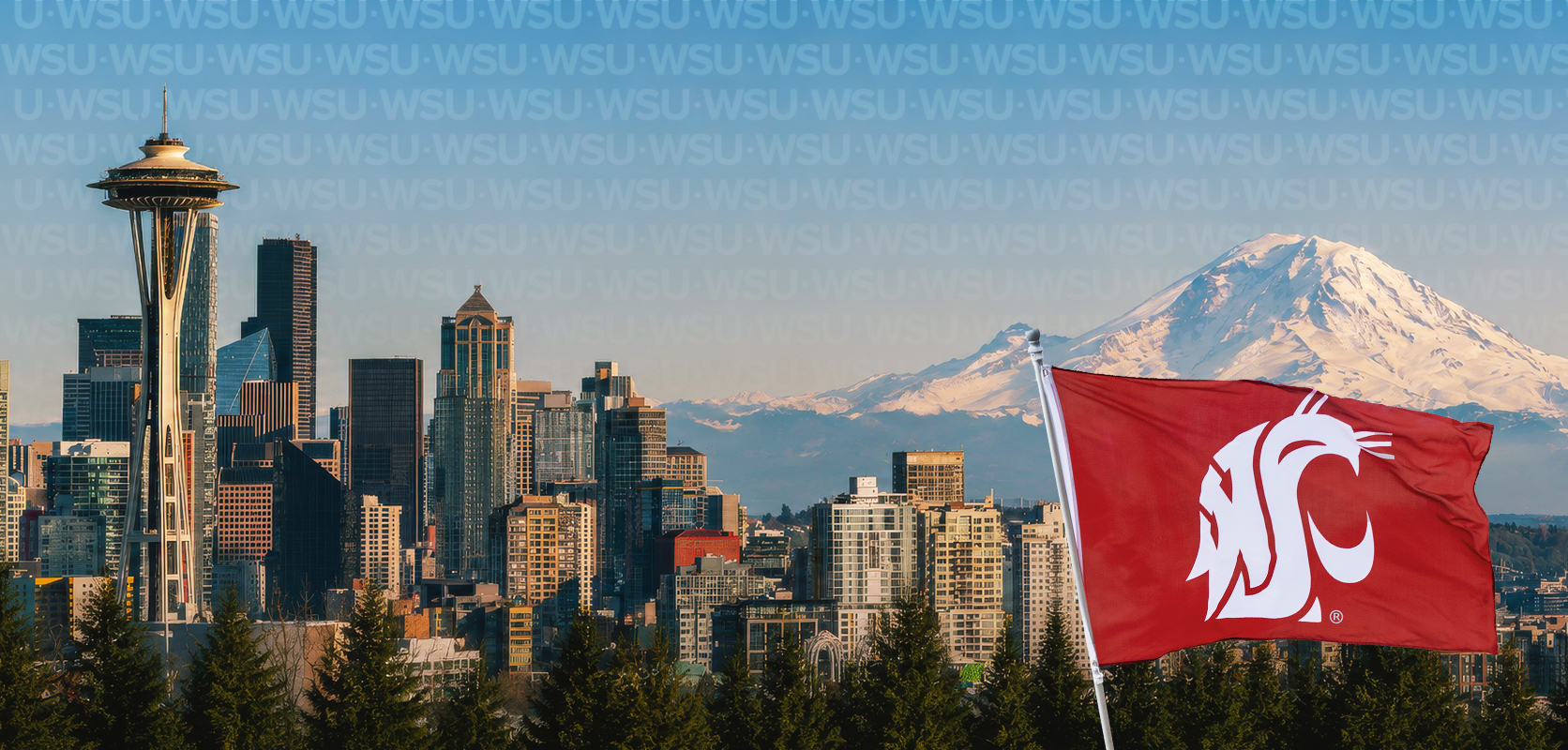 Seattle skyline with Mt. Rainer in background and a WSU flag in the foreground
