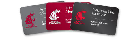 Three WSU association membership cards lined up in a row. One cards is gray, the other crimson and the last one is black. All three have WSU logos.
