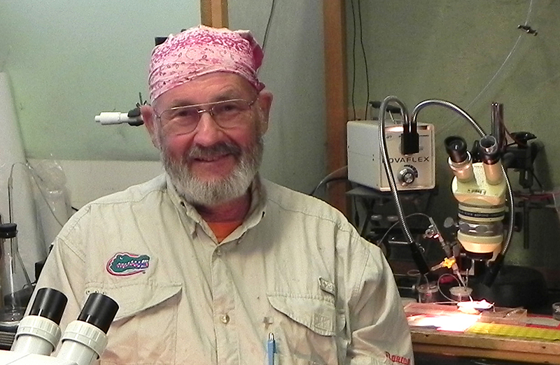 David Moffett studies ion transport in insect epithelia in his biological sciences lab.