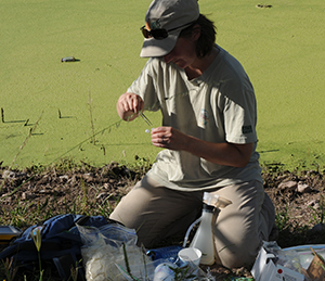 Caren Goldberg collects a water sample in Arizona to analyze for eDNA of Chiricahua leopard frogs.