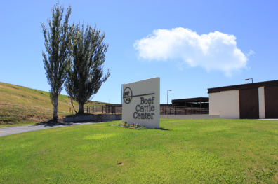 Ensminger Beef Center