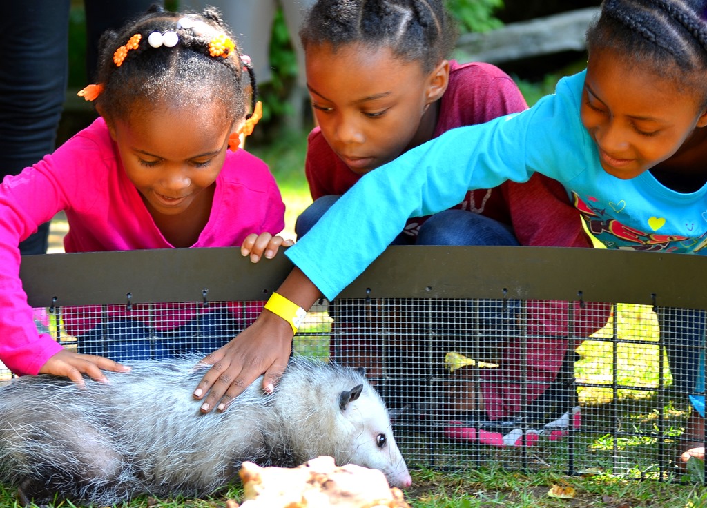 Join us at the zoo for picnic and prizes Engineering and Technology