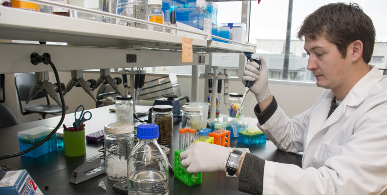 Researcher working in lab