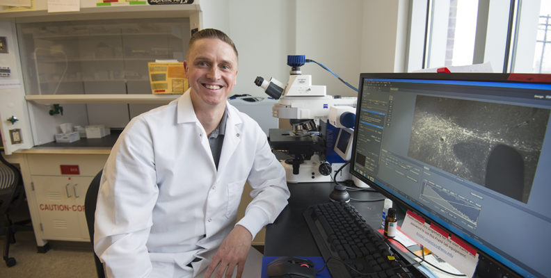 Neuroscientist Willie Vanderheyden uses fluorescent microscopy to identify sleep promoting cells in the dorsal part of a rat brain.