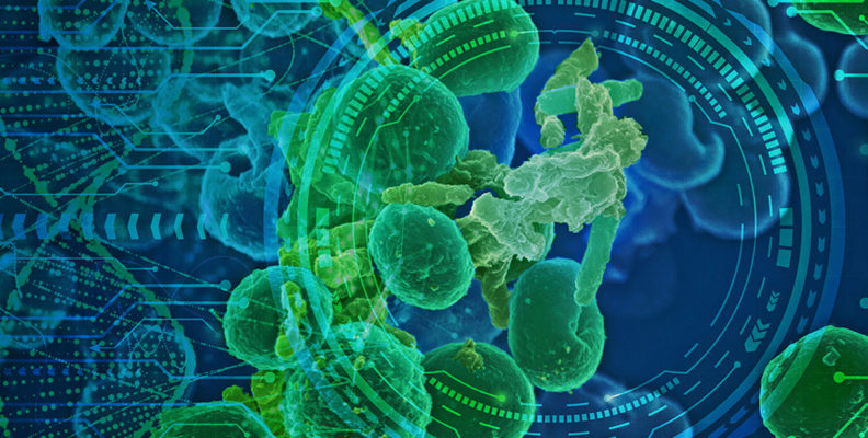 Gut microbiome illustration provided by PNNL
