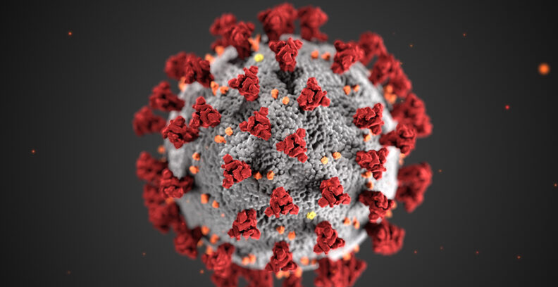 Image of SARS-CoV2 spike protein