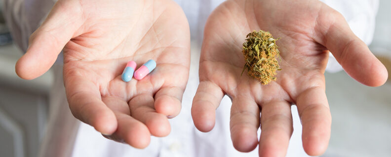 Doctor holding cannabis in one hand and pills in another
