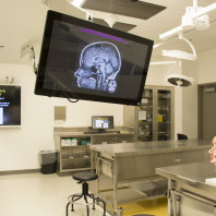 WSU Medical School