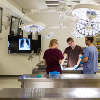 WSU Medical School