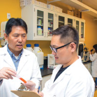 Research Roundup