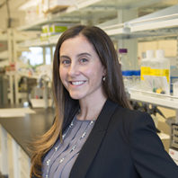 Lucia Peixoto in her lab on the WSU Health Sciences Spokane campus