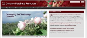 TreeFruitWebsite
