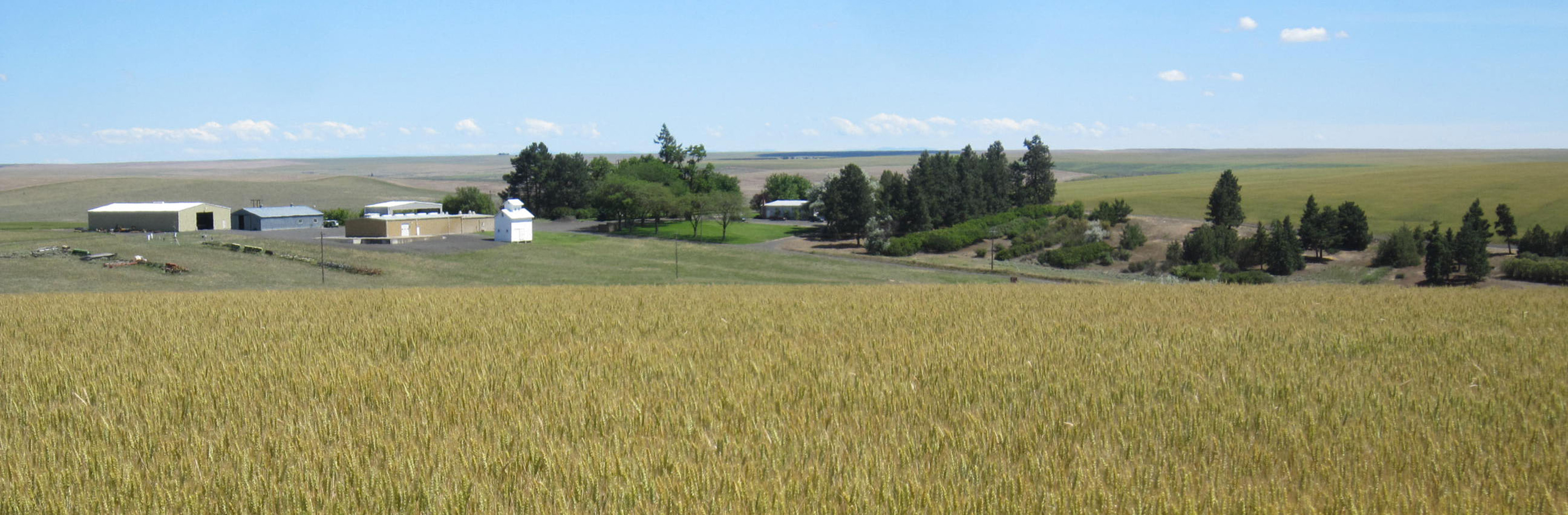 100year weather watching award for Lind Dryland Station WSU Insider