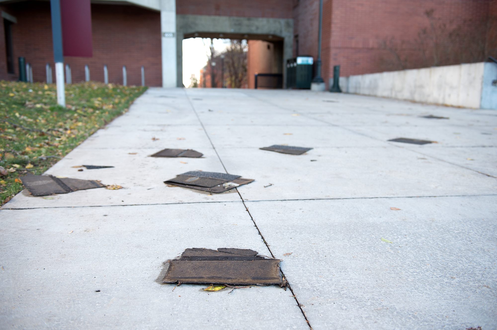 wind shingles on the ground near Bryan and Avery halls WSU Insider