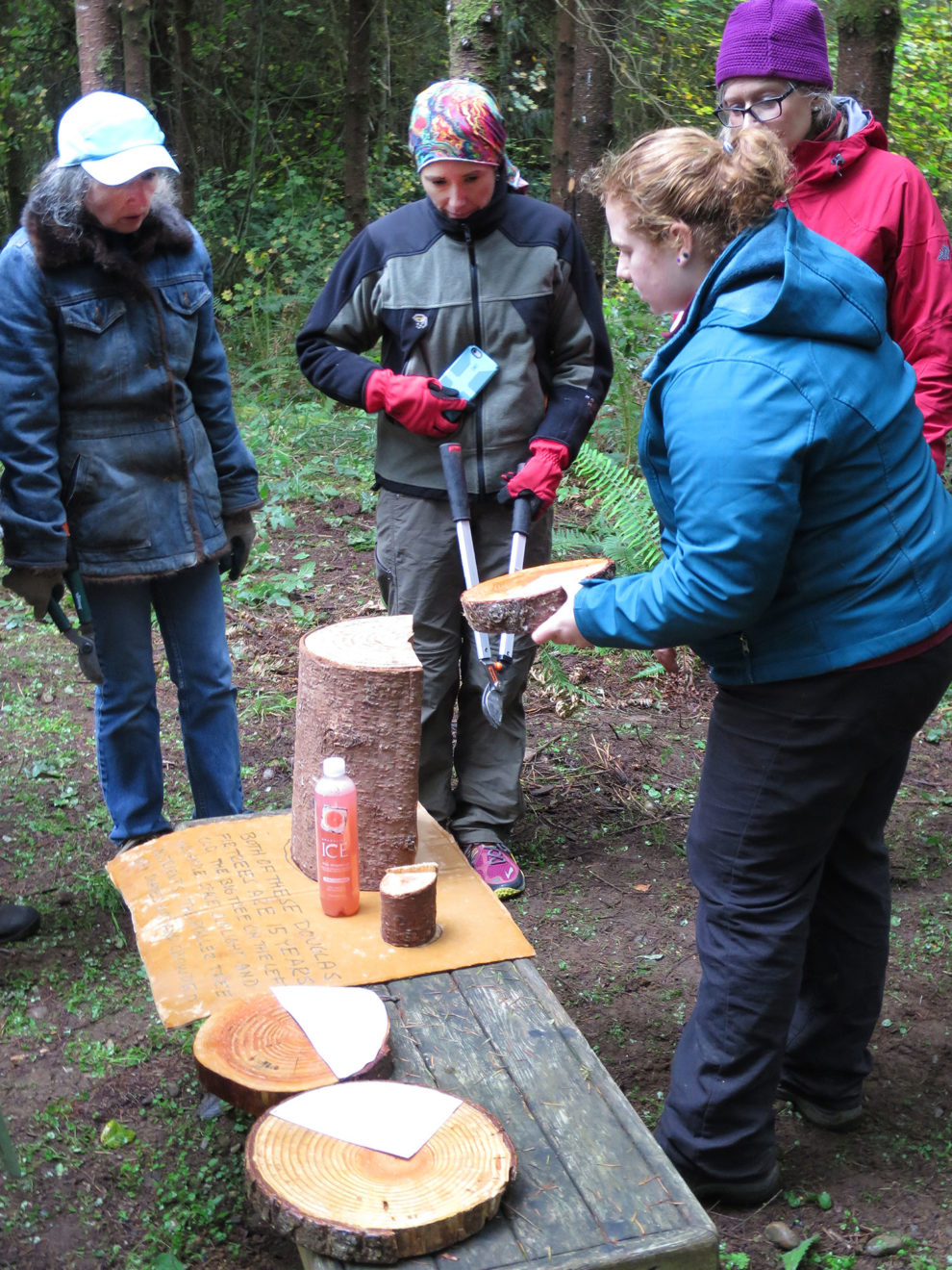 Sept. 17 Field day helps woodland owners care for trees WSU Insider Washington State University
