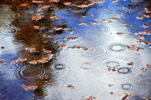 autumn-raindrops-11-1