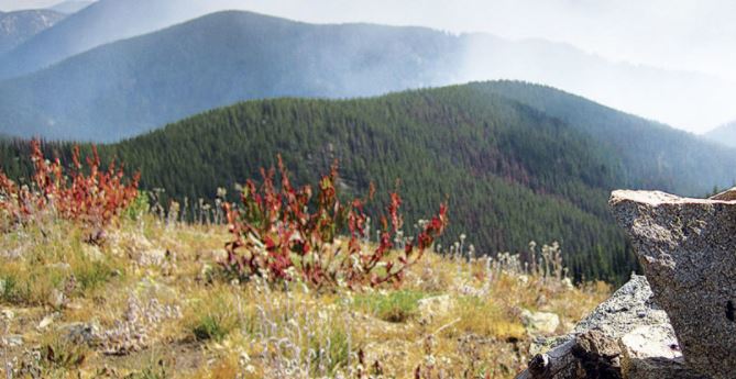 Researchers are trying to identify indigenous tobaccos important to Native groups.