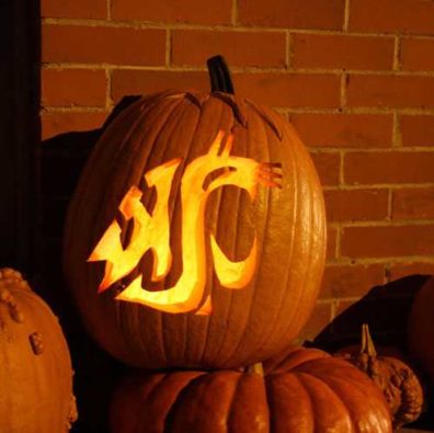 Go Cougs!