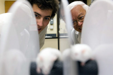 Professor Raymond Quock overseeing an ongoing Honors College project.