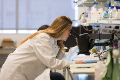 Lab researcher is studying slides in a microscope.
