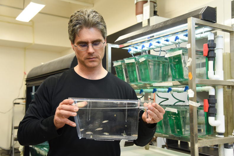 Jim Cooper holding a tank with small fish in a laboratory