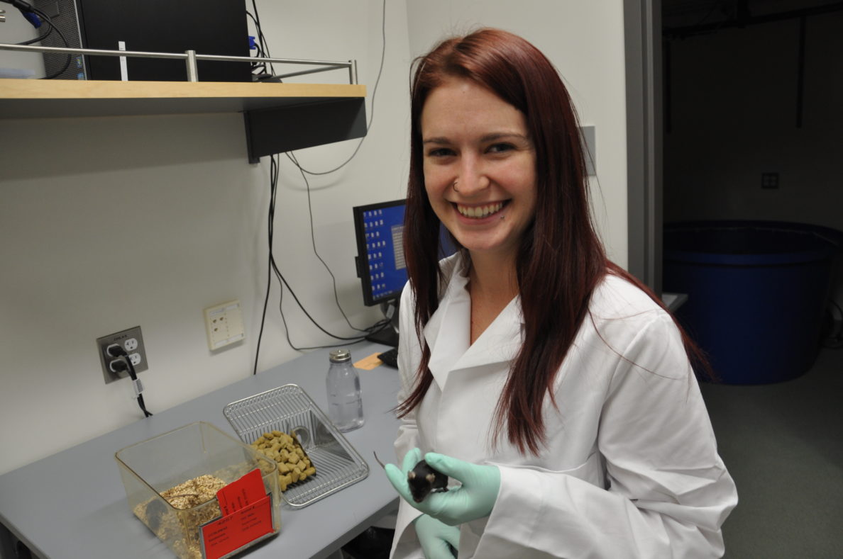 Three minute thesis tips image