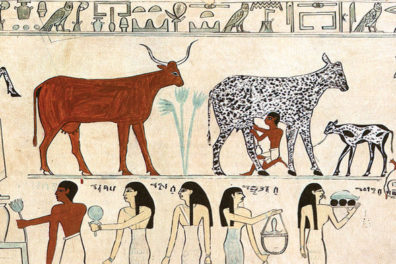 Egyptian painting of cattle and workers