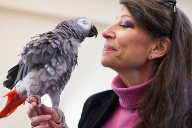 Irene Pepperberg with parrot