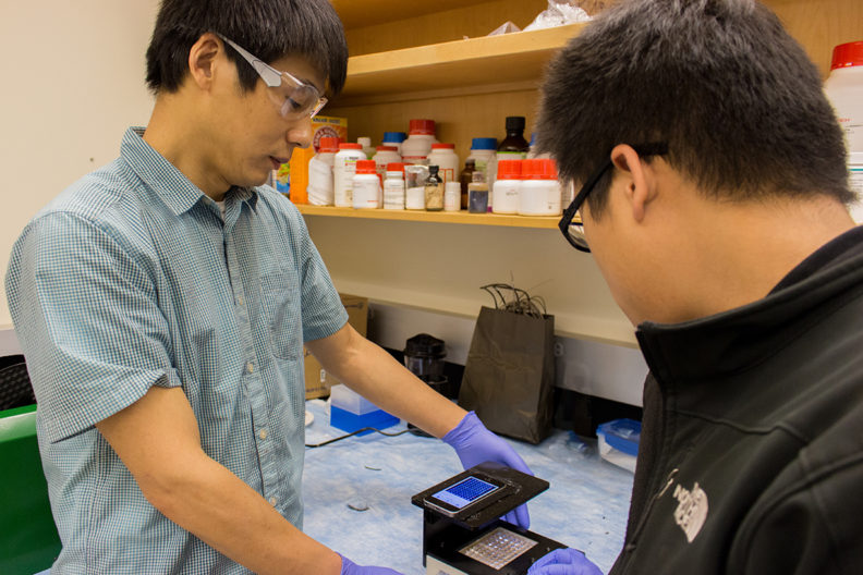 WSU Professor Lei Li and graduate student Yu-Chung Chang (l-r) testing smartphone.