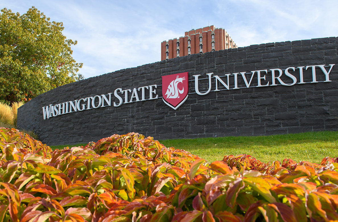 Progress On Creating An Inclusive And Welcoming WSU Community WSU 