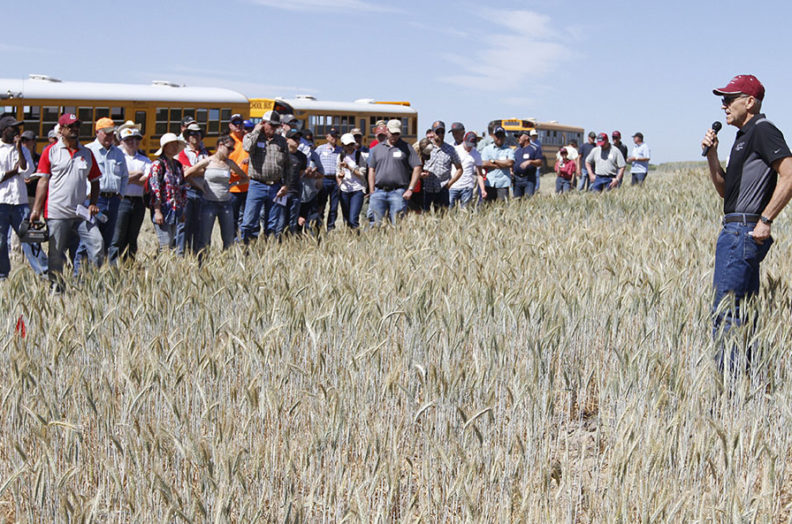 Speaker at Lind Dryland Field Day addresses crowd in wheat field.
