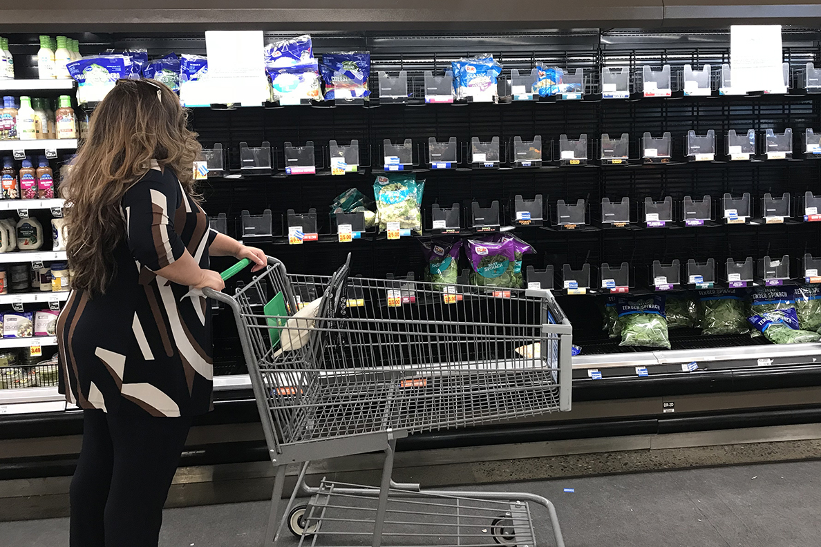 Ecoli romaine lettuce