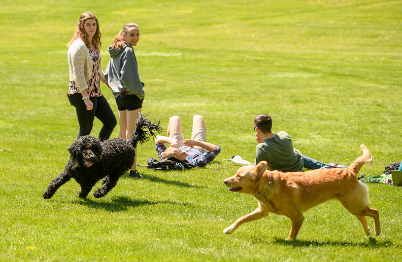 WSU-Pullman students enjoy the first day of a spring heat spell on April 23. Photo by Robert Hubner, WSU Photo Services.