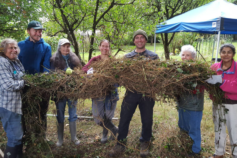 Forest owners harvest bounty of invasive weeds.