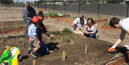 six people around a raised garden bed working in the soil.