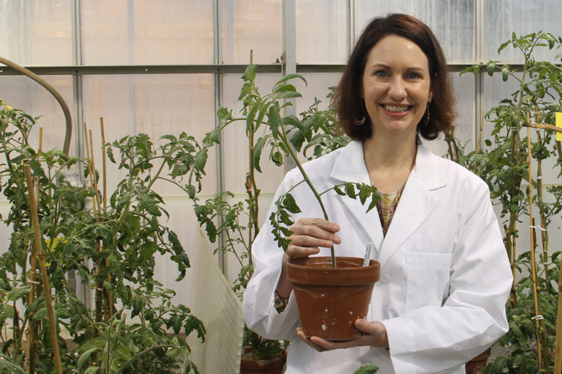 A closeup of Cynthia Gleason holding a plant inside a greenhouse.
