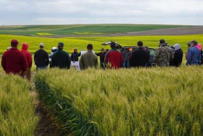 A speaker talking to people gathered in a wheat field.