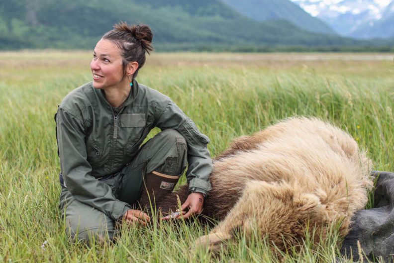 woman kneeling beside anesthetized bear