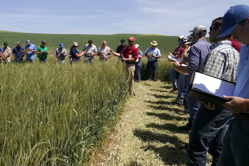 man speaks to gathering of people in wheat field.