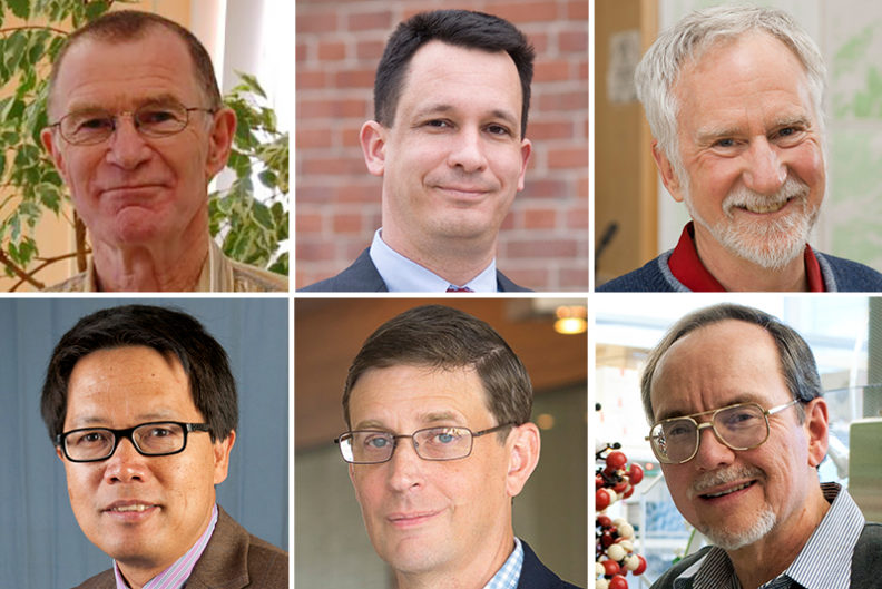 Closeups of Browse, Van Dongen, Kohler, Smerdon, Roll and Lin.