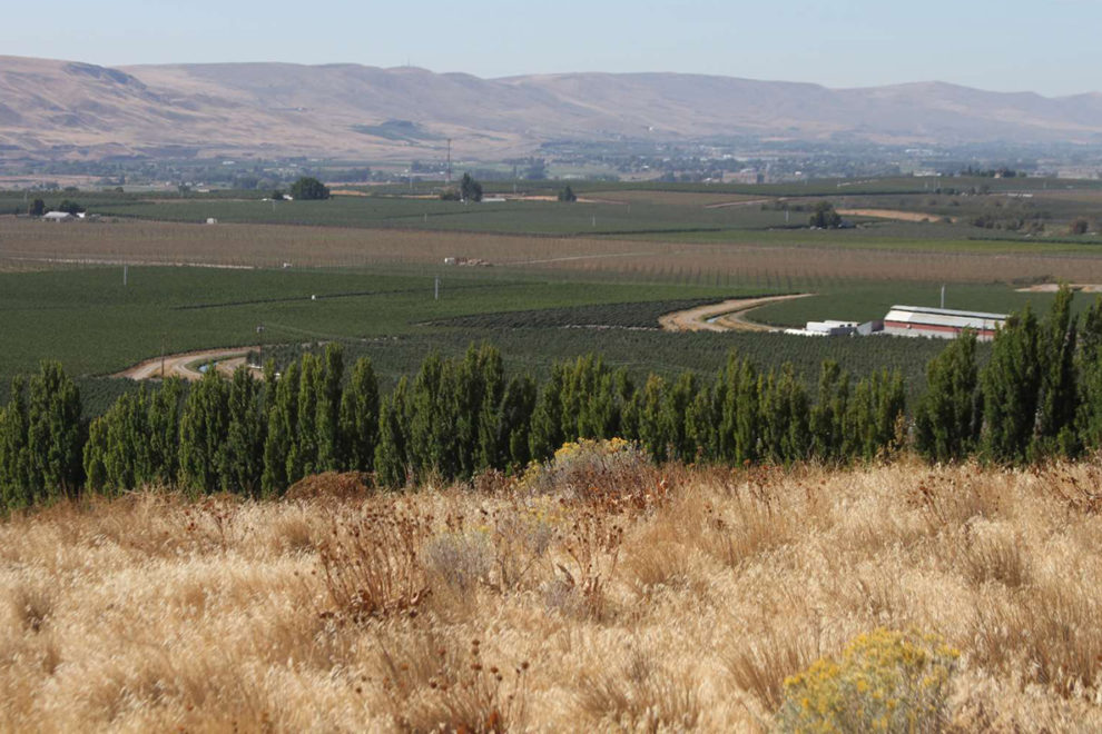 Panoramic view of drylands, trees, river, mountains and crops.