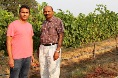 Jarugula and Rayapati stand in a vineyard.