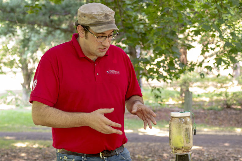 Josh Milnes inspects a brown marmorated stink bug trap.