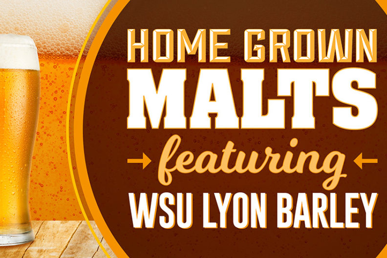 Home grown malts featuring WSU Lyon barley.