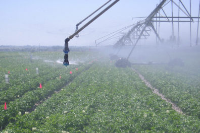 rotating irrigation system in field