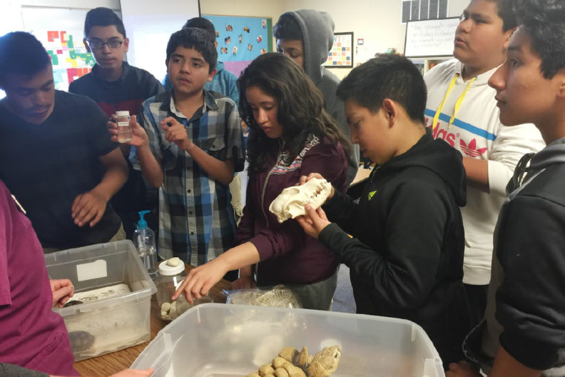 Students in classroom with turtle, skull, and veterinary samples.