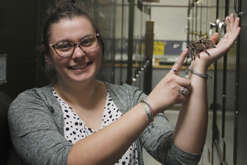 Hayes holds a tarantula, extending a finger to touch its extended leg.